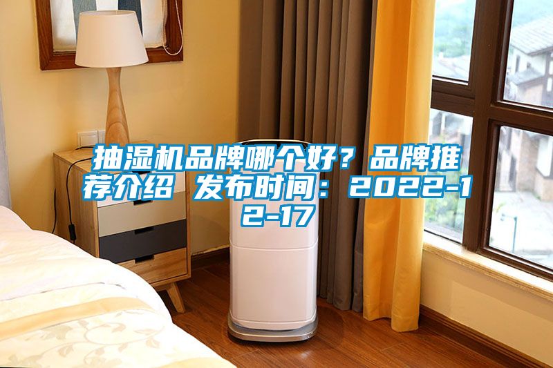 抽湿机品牌哪个好？品牌推荐介绍 发布时间：2022-12-17