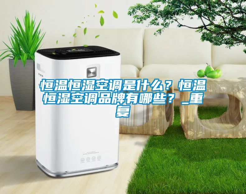 恒温恒湿空调是什么？恒温恒湿空调品牌有哪些？_重复