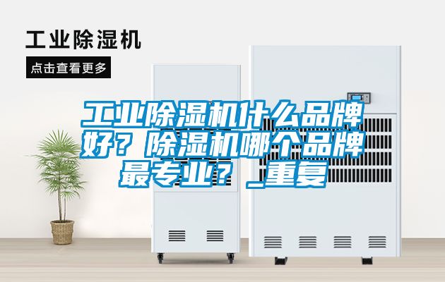 工业除湿机什么品牌好？除湿机哪个品牌最专业？_重复