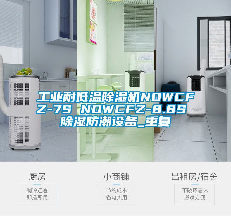 工业耐低温除湿机NDWCFZ-7S NDWCFZ-8.8S 除湿防潮设备_重复