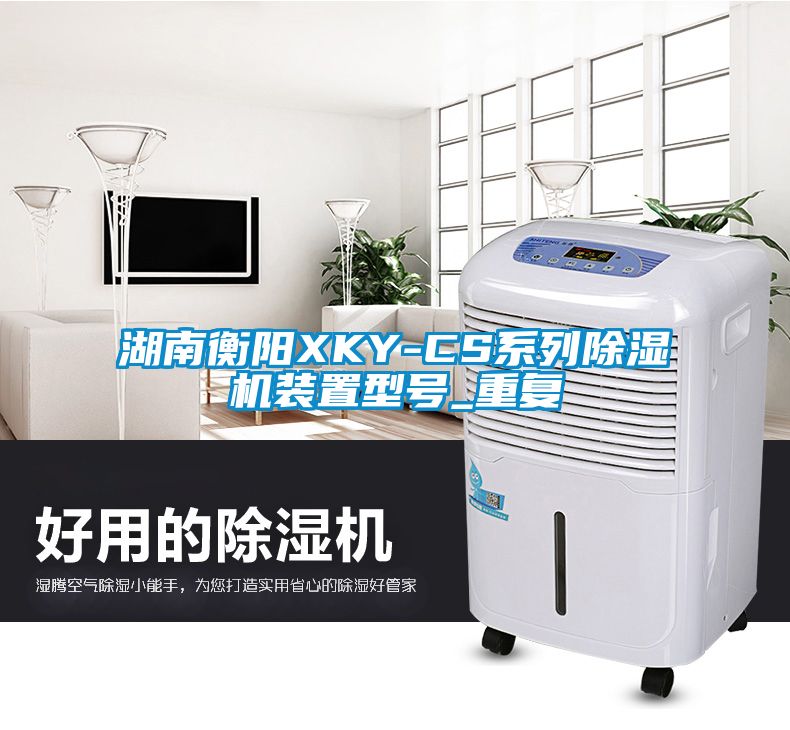 湖南衡阳XKY-CS系列除湿机装置型号_重复