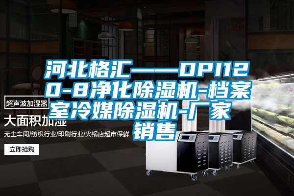 河北格汇——DPI120-8净化除湿机-档案室冷媒除湿机-厂家  销售