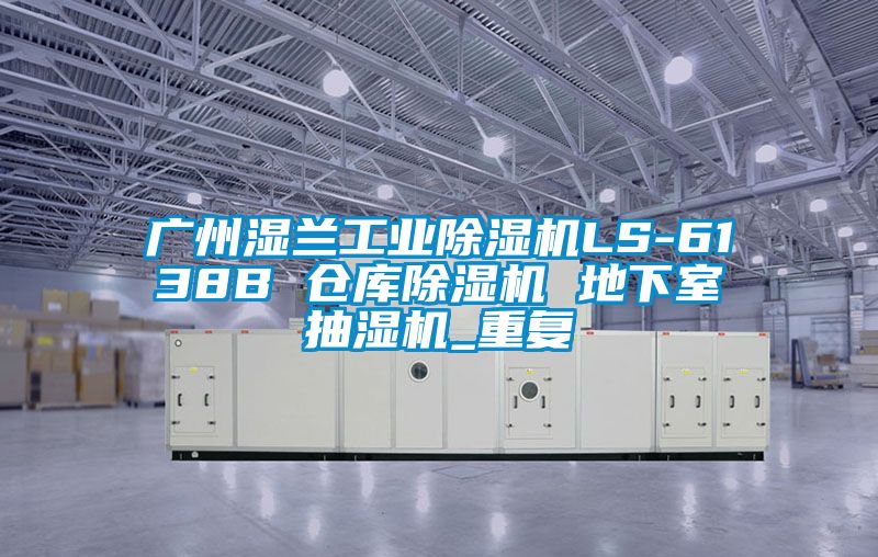 广州湿兰工业除湿机LS-6138B 仓库除湿机 地下室抽湿机_重复