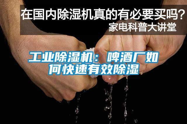 工业除湿机：啤酒厂如何快速有效除湿