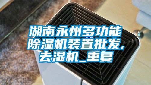 湖南永州多功能除湿机装置批发,去湿机_重复