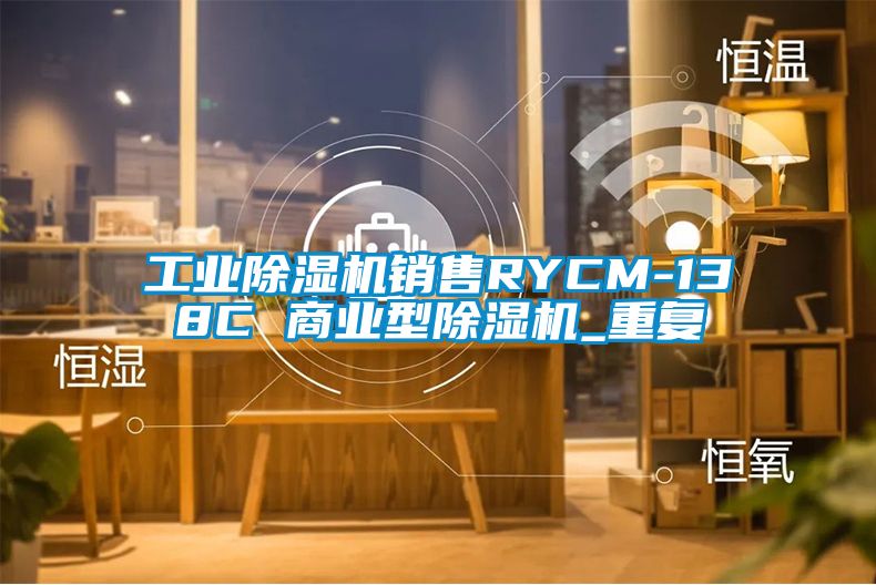 工业除湿机销售RYCM-138C 商业型除湿机_重复