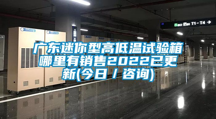 广东迷你型高低温试验箱哪里有销售2022已更新(今日／咨询)