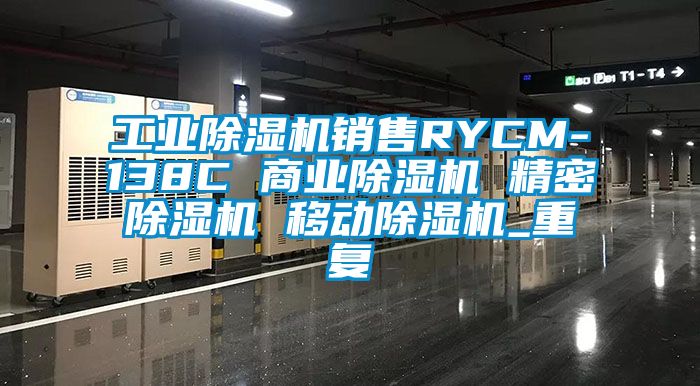 工业除湿机销售RYCM-138C 商业除湿机 精密除湿机 移动除湿机_重复