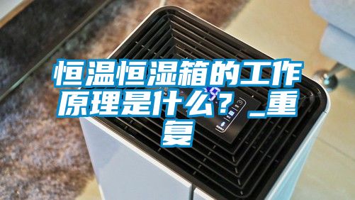 恒温恒湿箱的工作原理是什么？_重复