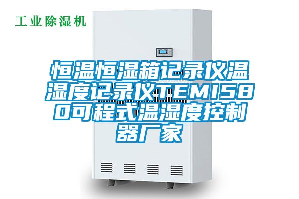 恒温恒湿箱记录仪温湿度记录仪TEMI580可程式温湿度控制器厂家