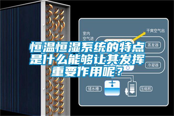 恒温恒湿系统的特点是什么能够让其发挥重要作用呢？