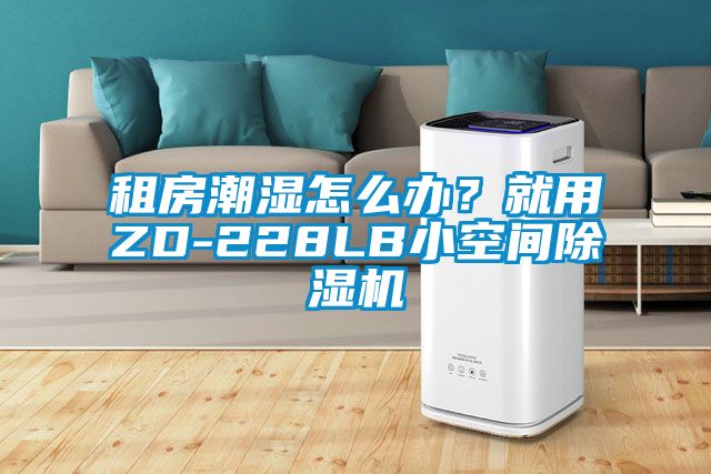 租房潮湿怎么办？就用ZD-228LB小空间除湿机