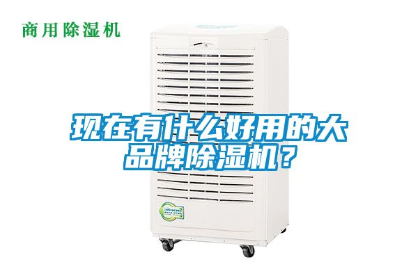 现在有什么好用的大品牌除湿机？