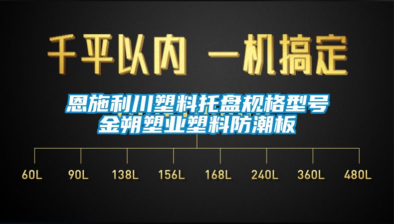 恩施利川塑料托盘规格型号金朔塑业塑料防潮板