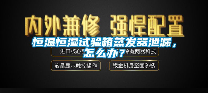 恒温恒湿试验箱蒸发器泄漏，怎么办？