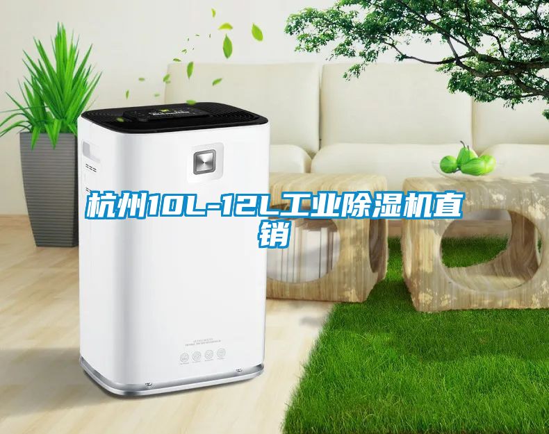 杭州10L-12L工业除湿机直销