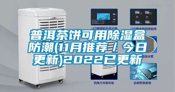 普洱茶饼可用除湿盒防潮(11月推荐／今日更新)2022已更新