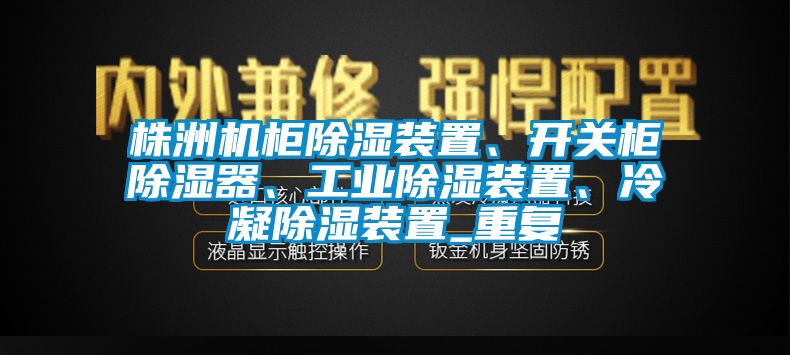 株洲机柜除湿装置、开关柜除湿器、工业除湿装置、冷凝除湿装置_重复