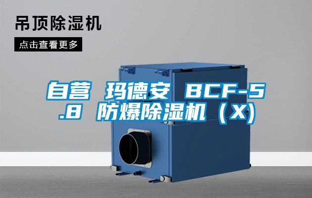 自营 玛德安 BCF-5.8 防爆除湿机（X)