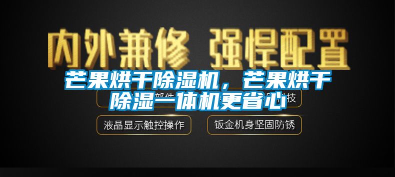 芒果烘干除湿机，芒果烘干除湿一体机更省心