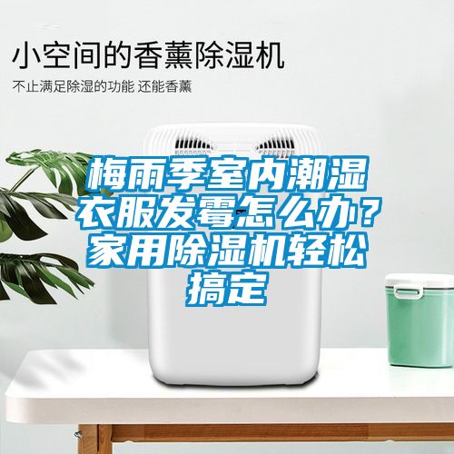 梅雨季室内潮湿衣服发霉怎么办？家用除湿机轻松搞定