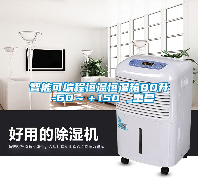 智能可编程恒温恒湿箱80升 -60～＋150℃_重复