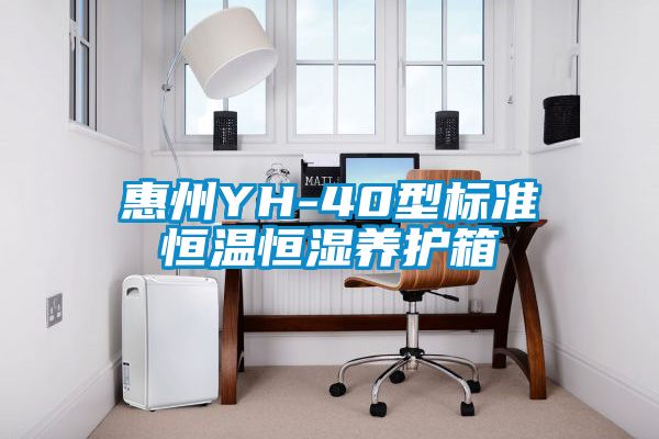 惠州YH-40型标准恒温恒湿养护箱