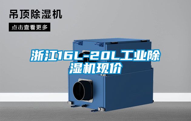 浙江16L-20L工业除湿机现价