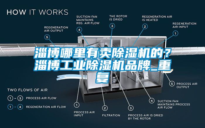 淄博哪里有卖除湿机的？淄博工业除湿机品牌_重复