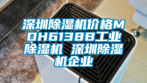 深圳除湿机价格MDH6138B工业除湿机 深圳除湿机企业