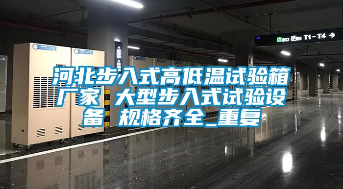 河北步入式高低温试验箱厂家 大型步入式试验设备 规格齐全_重复