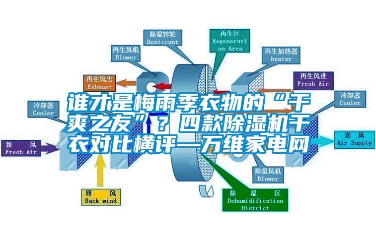 谁才是梅雨季衣物的“干爽之友”？四款除湿机干衣对比横评—万维家电网