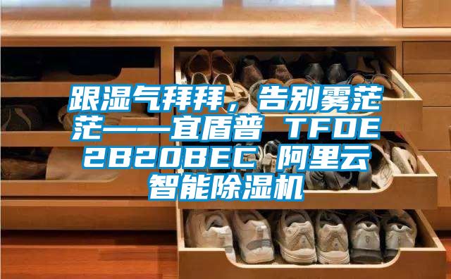 跟湿气拜拜，告别雾茫茫——宜盾普 TFDE2B20BEC 阿里云智能除湿机