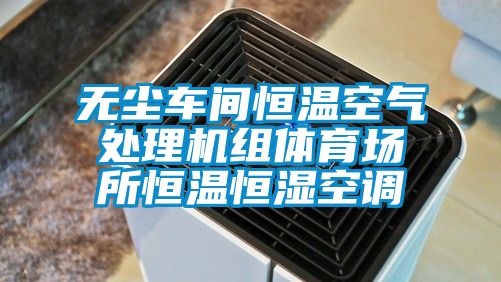 无尘车间恒温空气处理机组体育场所恒温恒湿空调