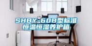 SHBY-60B型标准恒温恒湿养护箱