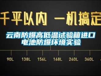 企业动态云南防爆高低温试验箱进口电池防爆环境实验