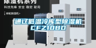 通辽低温冷库型除湿机CFZ10BD