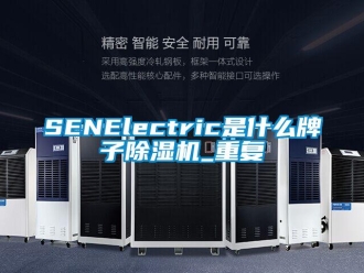 企业动态SENElectric是什么牌子除湿机_重复