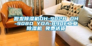 批发除湿机DH-902B DH-908D YDA-890E工业除湿机 免费送货