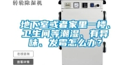 地下室或者家里一楼、卫生间等潮湿、有异味、发霉怎么办？