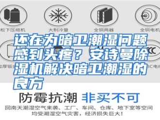 知识百科还在为暗卫潮湿问题感到头疼？安诗曼除湿机解决暗卫潮湿的良方