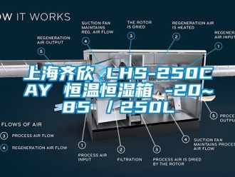 知识百科上海齐欣 LHS-250CAY 恒温恒湿箱 -20~85℃／250L