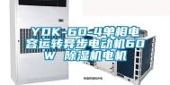 YDK-60-4单相电容运转异步电动机60W 除湿机电机