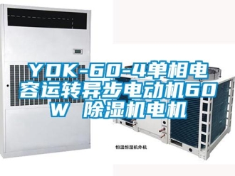 企业动态YDK-60-4单相电容运转异步电动机60W 除湿机电机