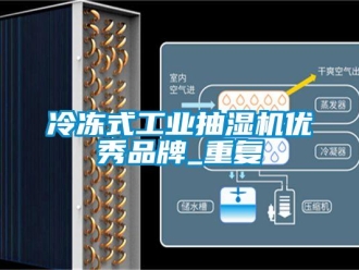 企业动态冷冻式工业抽湿机优秀品牌_重复
