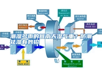 知识百科潮湿多雨的回南天湿气重？防潮祛湿有妙招