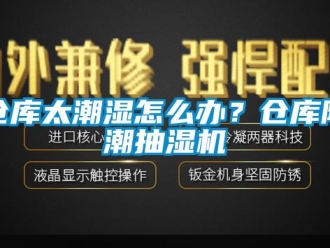 企业动态仓库太潮湿怎么办？仓库防潮抽湿机