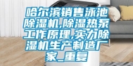 哈尔滨销售泳池除湿机,除湿热泵工作原理,实力除湿机生产制造厂家_重复