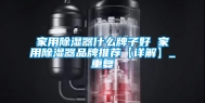 家用除湿器什么牌子好 家用除湿器品牌推荐【详解】_重复