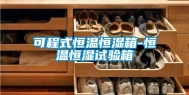 可程式恒温恒湿箱-恒温恒湿试验箱